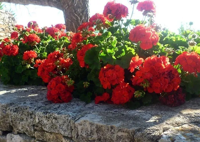 Agriturismo Regno Di Marzagaglia Gioia Del Colle